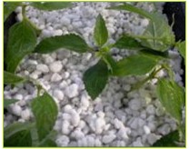 ԰���ô��������������