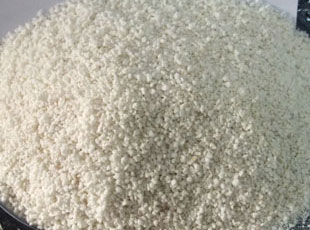 �տ�������